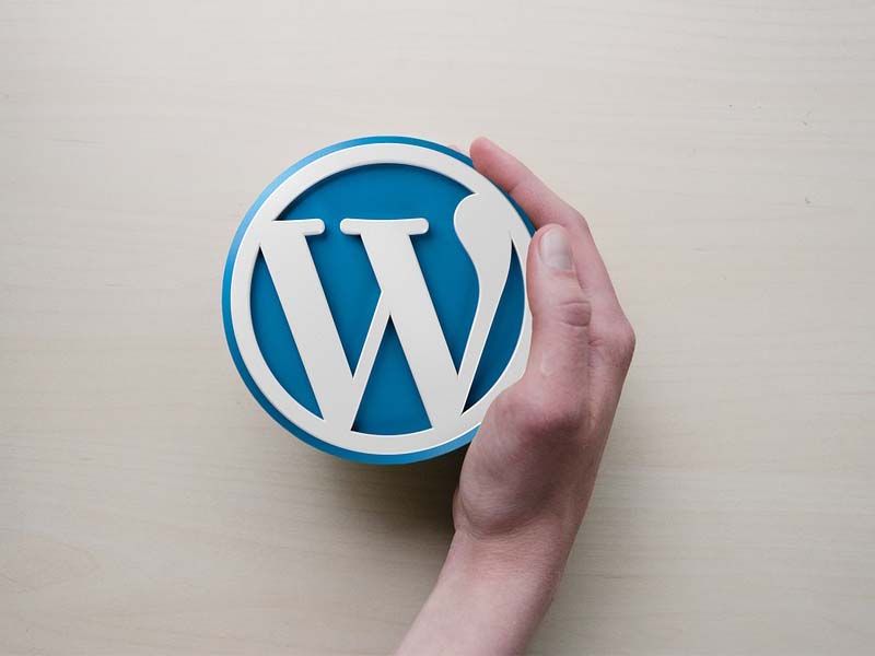 Wordpress training